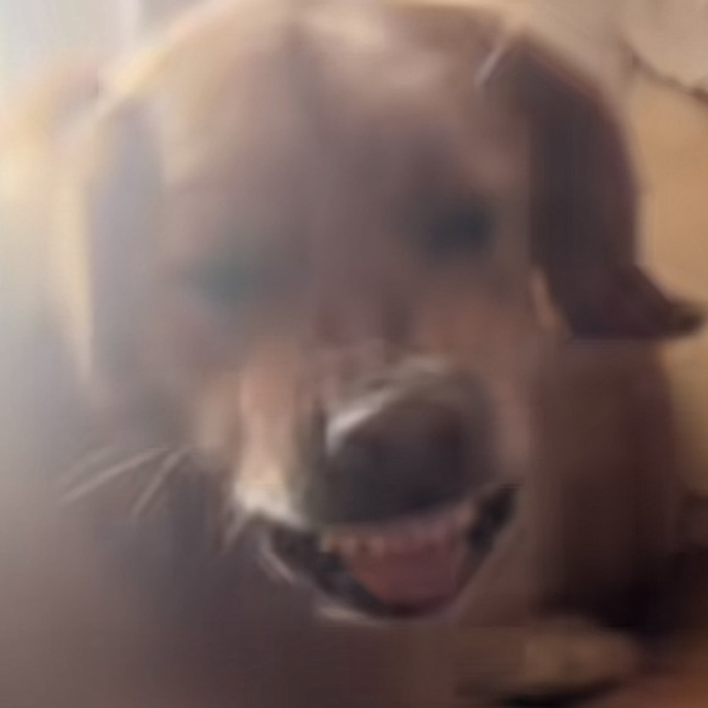 Meet your Posher, Kamila